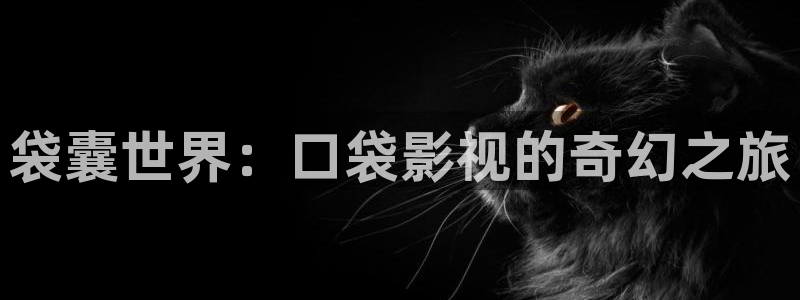 yy6090青苹果影院：袋囊世界：口袋影视的奇幻之旅