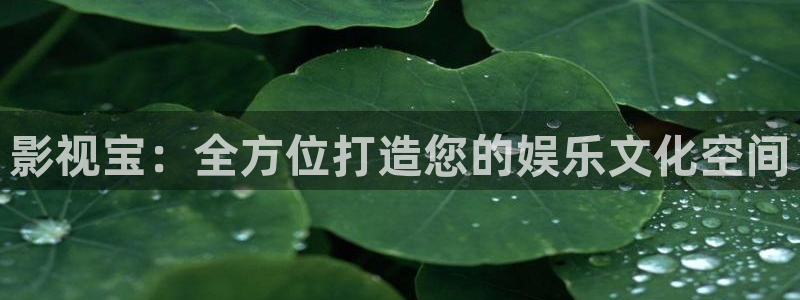 青苹果影院yy6090免费：影视宝：全方位打造您的娱乐文化空间